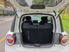 Changan Lumin Treasure Edition 301km Pearl Love White CATL - ფოტო 11