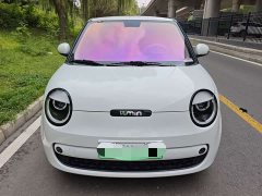 Changan Lumin Treasure Edition 301km Pearl Love White CATL - ფოტო 2