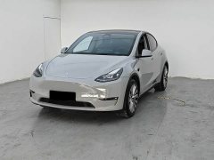 Tesla Model Y Long Range All-Wheel Drive - ფოტო 1