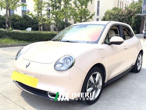 2023 ORA Good Cat 401km Standard Range Luxury Trim Ternary Lithium Battery - ავტომობილი ჩინეთიდან