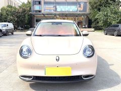 ORA Good Cat 401km Standard Range Luxury Trim Ternary Lithium Battery - ფოტო 2