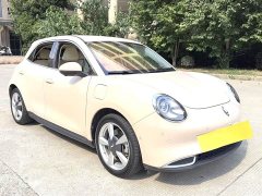 ORA Good Cat 401km Standard Range Luxury Trim Ternary Lithium Battery - ფოტო 3