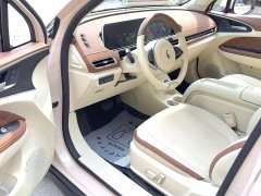 ORA Good Cat 401km Standard Range Luxury Trim Ternary Lithium Battery - ფოტო 9
