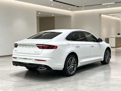 Geely Xingrui 2.0T Diesel Premium Edition - ფოტო 10