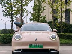 ORA Good Cat 400km Standard Range Luxury Lithium Iron Phosphate - ფოტო 1
