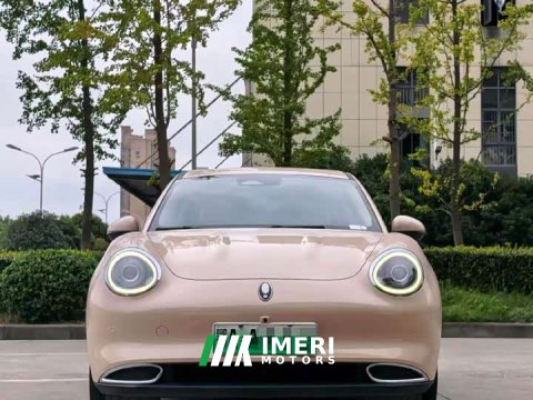 2022 ORA Good Cat 400km Standard Range Luxury Lithium Iron Phosphate - ავტომობილი ჩინეთიდან