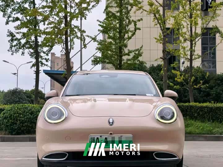 ORA Good Cat 400km Standard Range Luxury Lithium Iron Phosphate