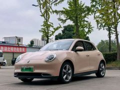 ORA Good Cat 400km Standard Range Luxury Lithium Iron Phosphate - ფოტო 2