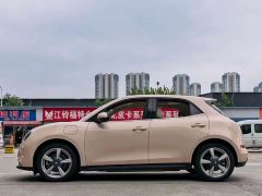 ORA Good Cat 400km Standard Range Luxury Lithium Iron Phosphate - ფოტო 3