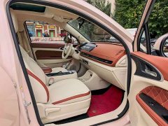 ORA Good Cat 400km Standard Range Luxury Lithium Iron Phosphate - ფოტო 4