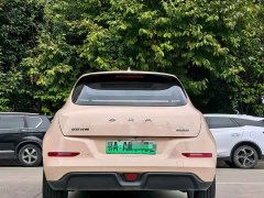 ORA Good Cat 400km Standard Range Luxury Lithium Iron Phosphate - ფოტო 8