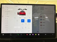 Tesla Model X Dual Motor All-Wheel Drive - ფოტო 12