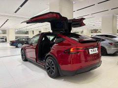 Tesla Model X Dual Motor All-Wheel Drive - ფოტო 3
