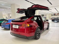 Tesla Model X Dual Motor All-Wheel Drive - ფოტო 4