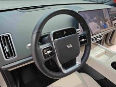 Li Auto L6 Pro - ფოტო 14