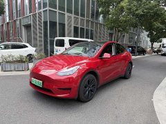 Tesla Model Y Rear-Wheel Drive - ფოტო 1