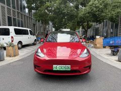 Tesla Model Y Rear-Wheel Drive - ფოტო 2