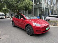 Tesla Model Y Rear-Wheel Drive - ფოტო 3