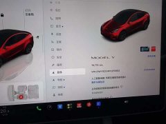 Tesla Model Y Rear-Wheel Drive - ფოტო 4