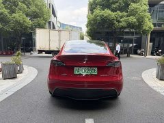 Tesla Model Y Rear-Wheel Drive - ფოტო 8