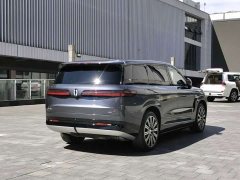 Denza BYD Denza N9 Flagship - ფოტო 9