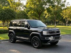 Fangchengbao Leopard 5 2023 Explorer Edition - ფოტო 3