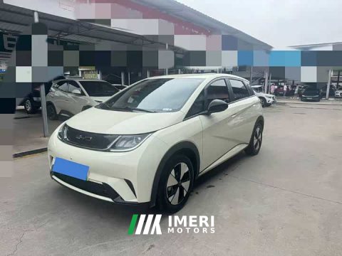 2024 BYD Dolphin 2023 420km Freedom Edition - ავტომობილი ჩინეთიდან