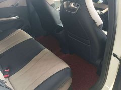 BYD Dolphin 2023 420km Freedom Edition - ფოტო 7