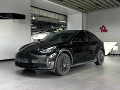 Tesla Model Y Long Range All-Wheel Drive - ფოტო 1
