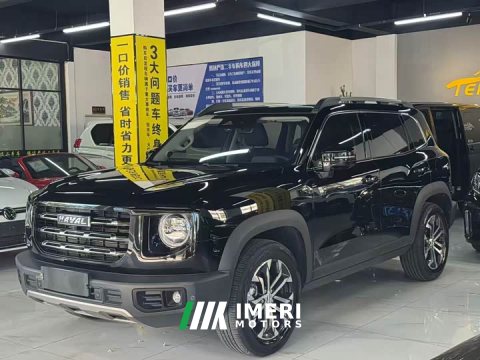 2023 Great Wall Dachshund 2022 1.5T DCT Two-Wheel Drive Border Collie Edition - ავტომობილი ჩინეთიდან