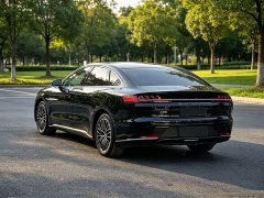 BYD Han 2020 EV Ultra-Long Range Luxury - ფოტო 4