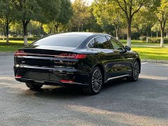 BYD Han 2020 EV Ultra-Long Range Luxury - ფოტო 6