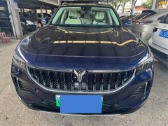 Voyah Lantu FREE Four-Wheel Drive Standard Extended Range Exclusive Luxury Package - ფოტო 2