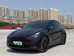 Tesla Model Y Standard Range RWD - ფოტო 1