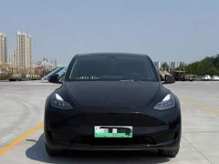 Tesla Model Y Standard Range RWD - ფოტო 2
