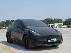 Tesla Model Y Standard Range RWD - ფოტო 3