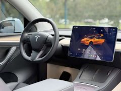 Tesla Model Y 2022 Facelift Long Range All-Wheel Drive - ფოტო 11