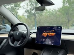 Tesla Model Y 2022 Facelift Long Range All-Wheel Drive - ფოტო 13