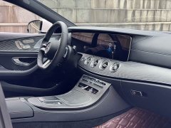 Mercedes-Benz CLS 300 Luxury - ფოტო 13
