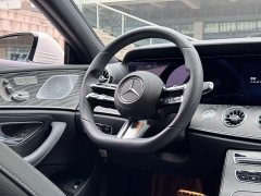 Mercedes-Benz CLS 300 Luxury - ფოტო 14