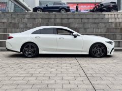 Mercedes-Benz CLS 300 Luxury - ფოტო 5