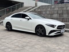 Mercedes-Benz CLS 300 Luxury - ფოტო 6