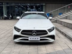 Mercedes-Benz CLS 300 Luxury - ფოტო 7