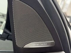 BMW X5 xDrive 30Li Luxury M Sport Package - ფოტო 11