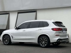 BMW X5 xDrive 30Li Luxury M Sport Package - ფოტო 19