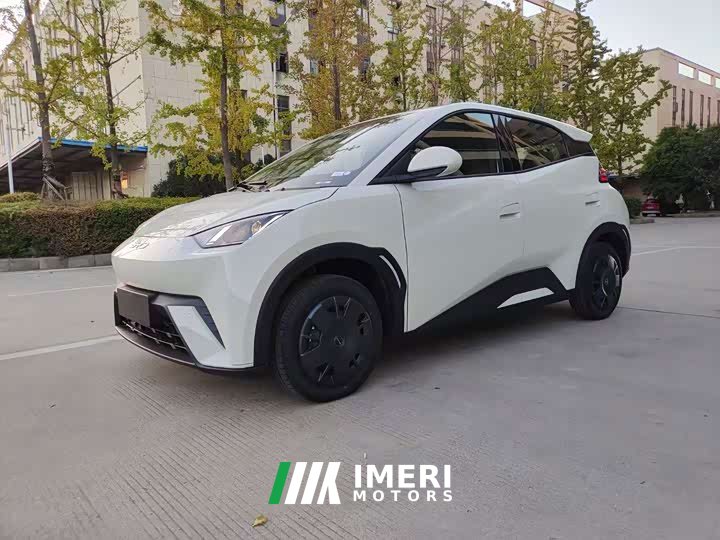 BYD Seagull Glory Edition 305km Vitality Version - ავტომობილი ჩინეთიდან