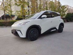 BYD Seagull Glory Edition 305km Vitality Version - ფოტო 1