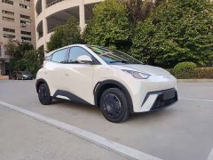 BYD Seagull Glory Edition 305km Vitality Version - ფოტო 3