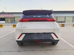 BYD Seagull Glory Edition 305km Vitality Version - ფოტო 8