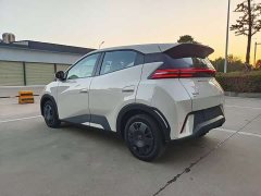BYD Seagull Glory Edition 305km Vitality Version - ფოტო 9